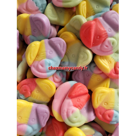 Cochon  arc-en-ciel 100 GR