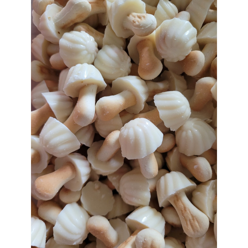 Champignon Chocolat Blanc 100 GR