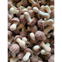 Champignon Chocolat Caramel  100 GR