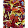Ourson Fruit rouge et vanille 100 GR